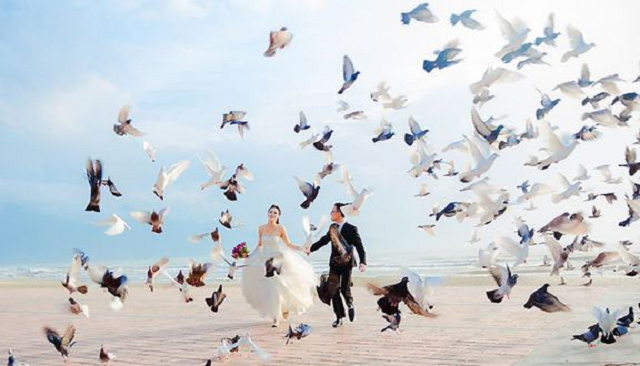 Công viên Biển Đông - địa điểm chụp ảnh cưới Đà nẵng không thể bỏ qua
